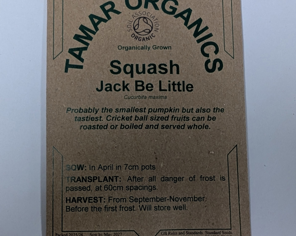 (Seeds) Squash - Jack Be Little
