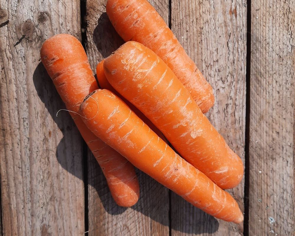 Carrots, Rainbow 🇬🇧