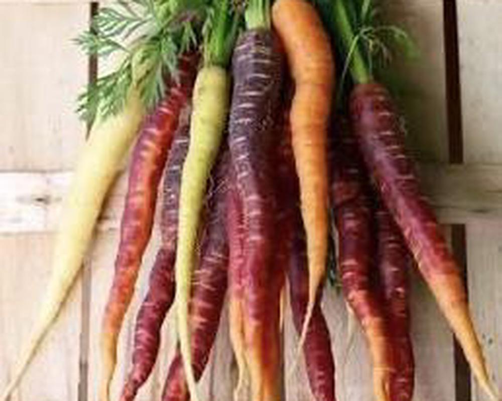 Carrots, Rainbow 🇬🇧