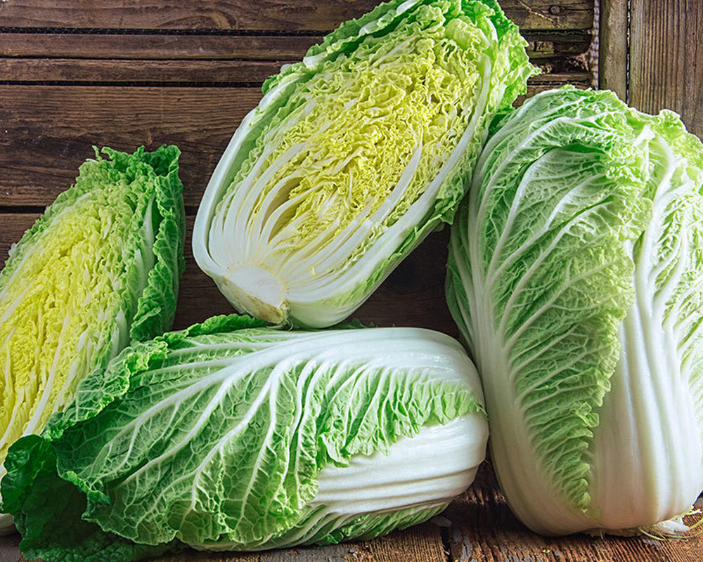 Cabbage: Chinese