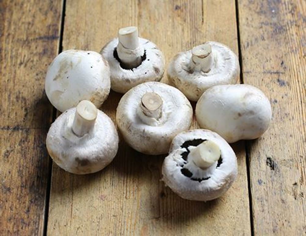 Mushrooms: White