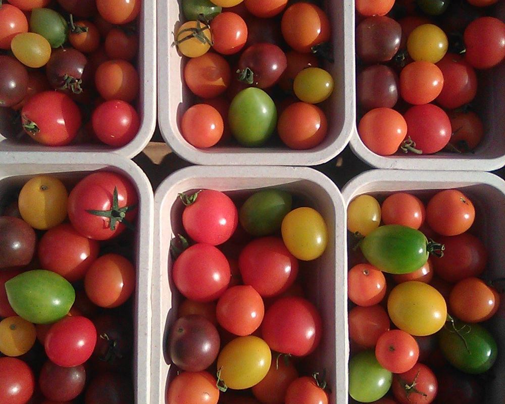 Tomatoes - cherry, mixed colours 400g