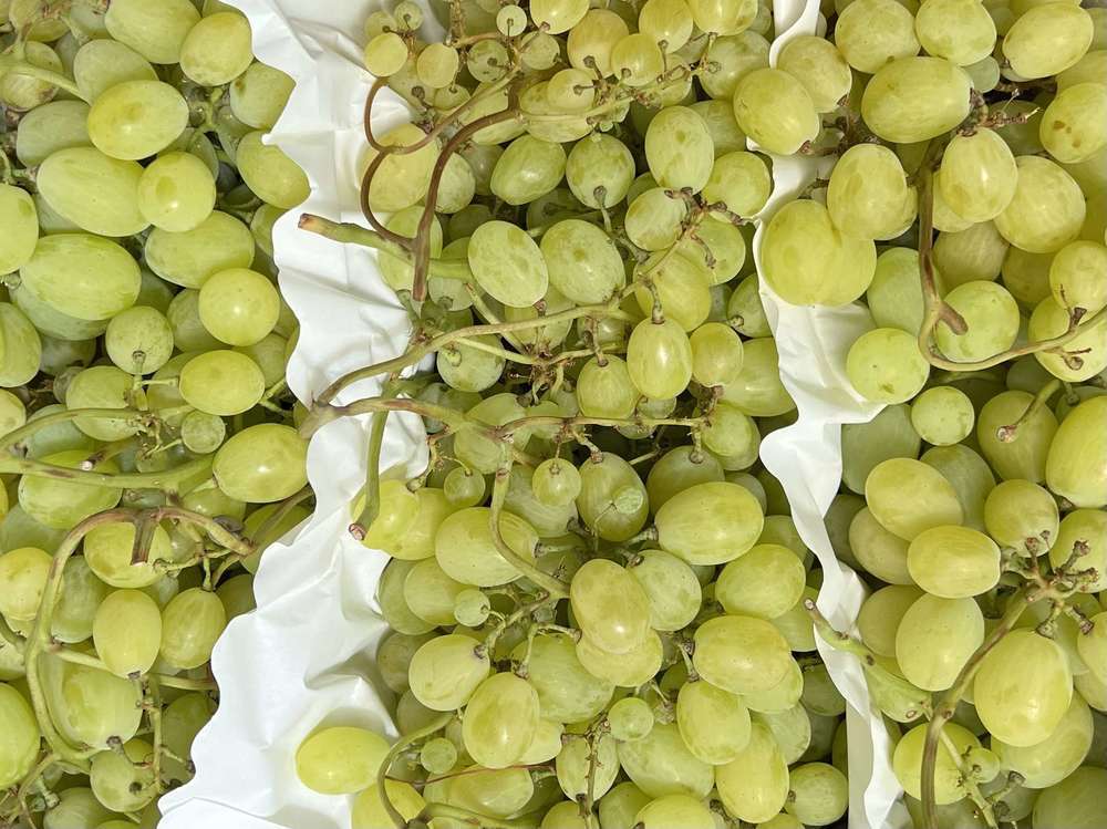 Grapes Punnet