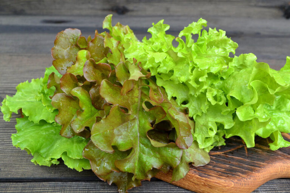 Lettuce