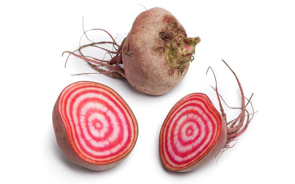 Beetroot Chioggia