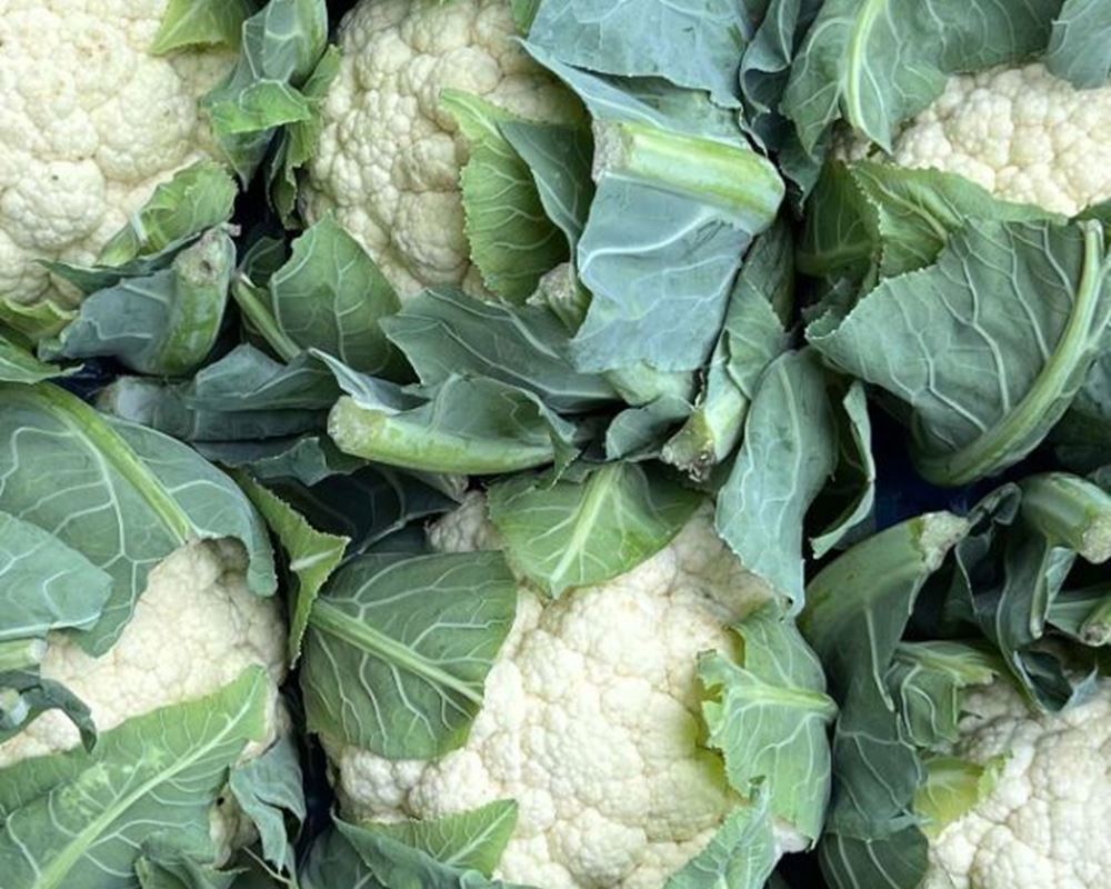 Cauliflower (France)