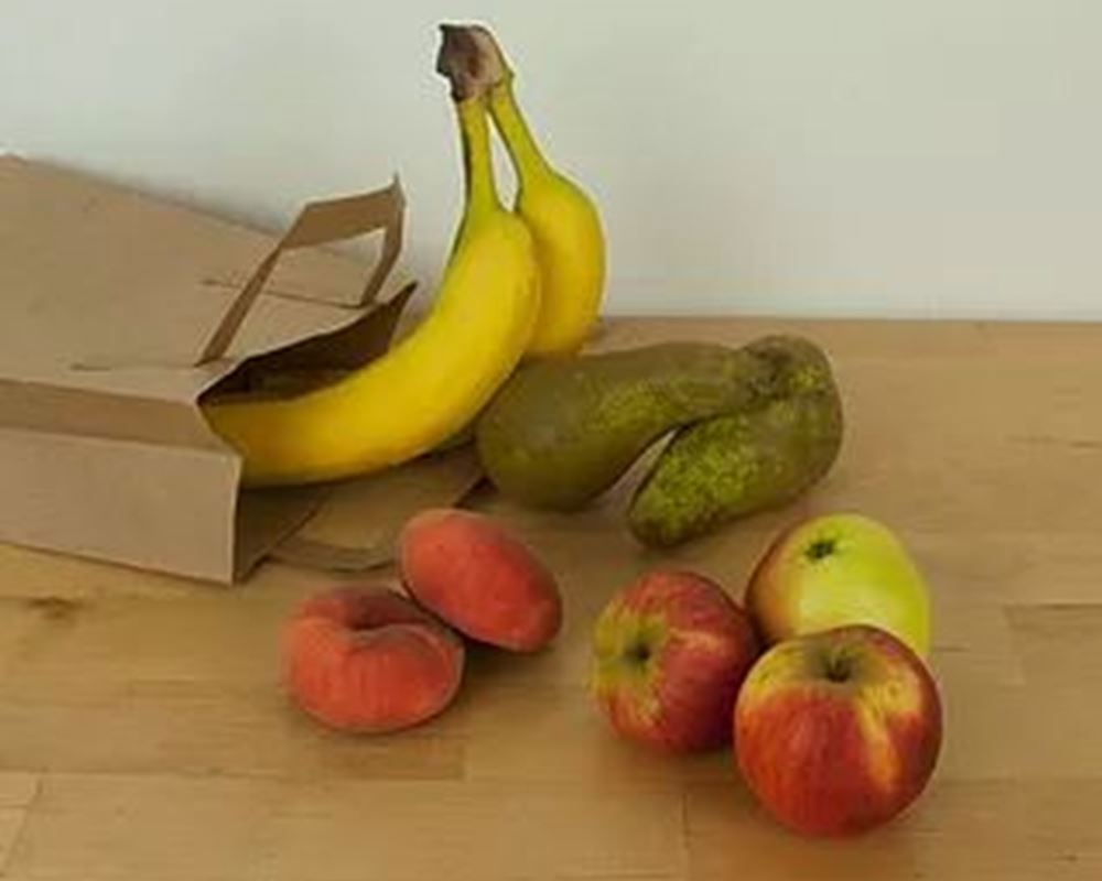 Small Fruit Bag