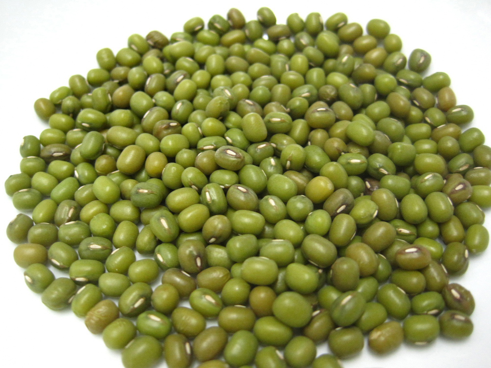 Ffa mwng/Mung Beans 100g (Organically grown)