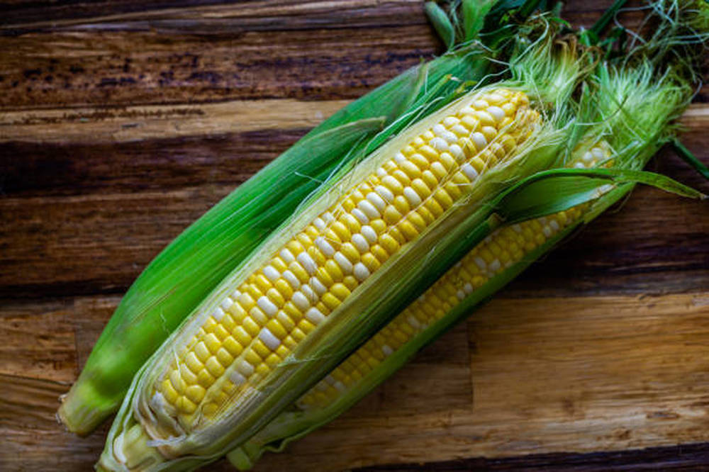 Sweet Corn