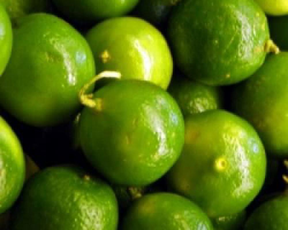 Limes