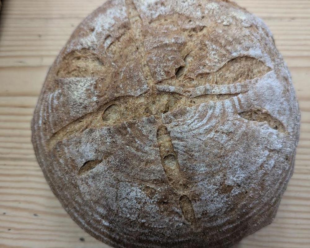 The Crust Bakery Polish Village Light Rye Sourdough Bread