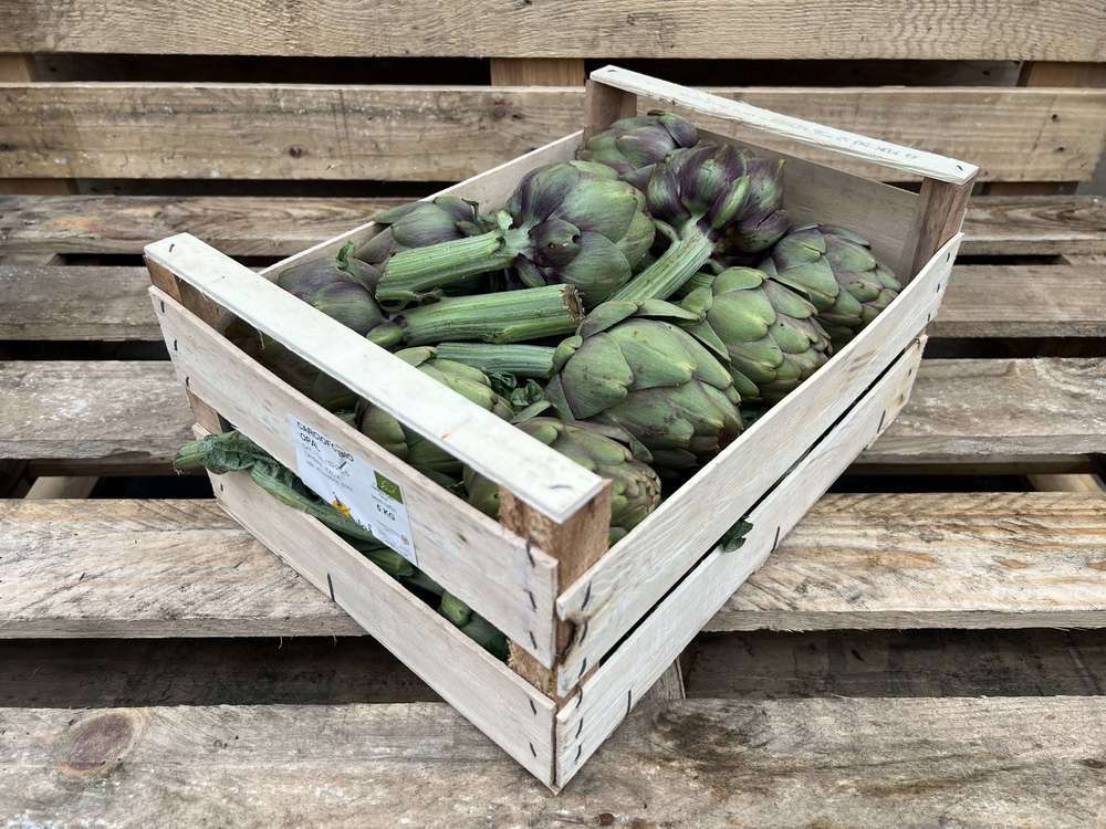 Organic Artichoke Purple
