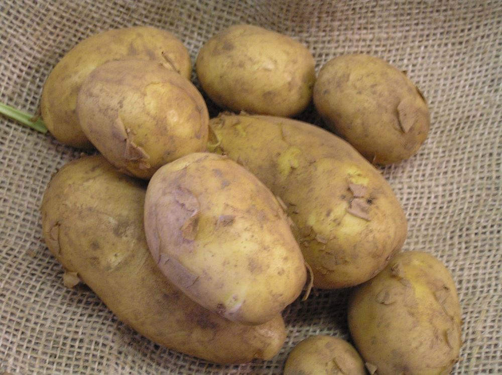 V.Potatoes - roasting/chips (approx 500g)