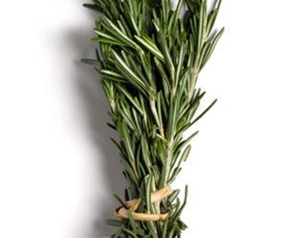 Fresh Rosemary EKG