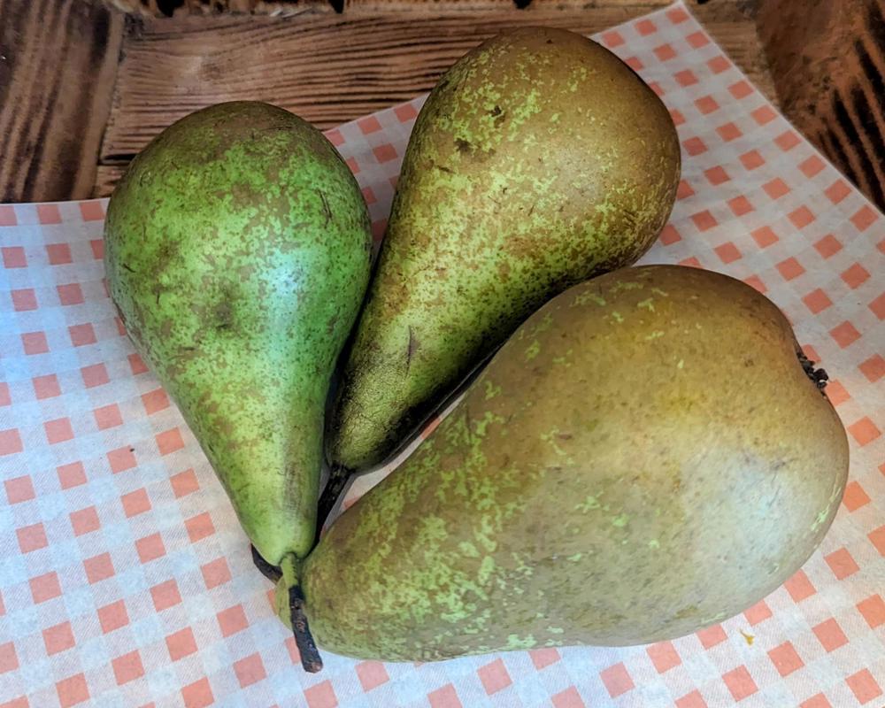 Pears