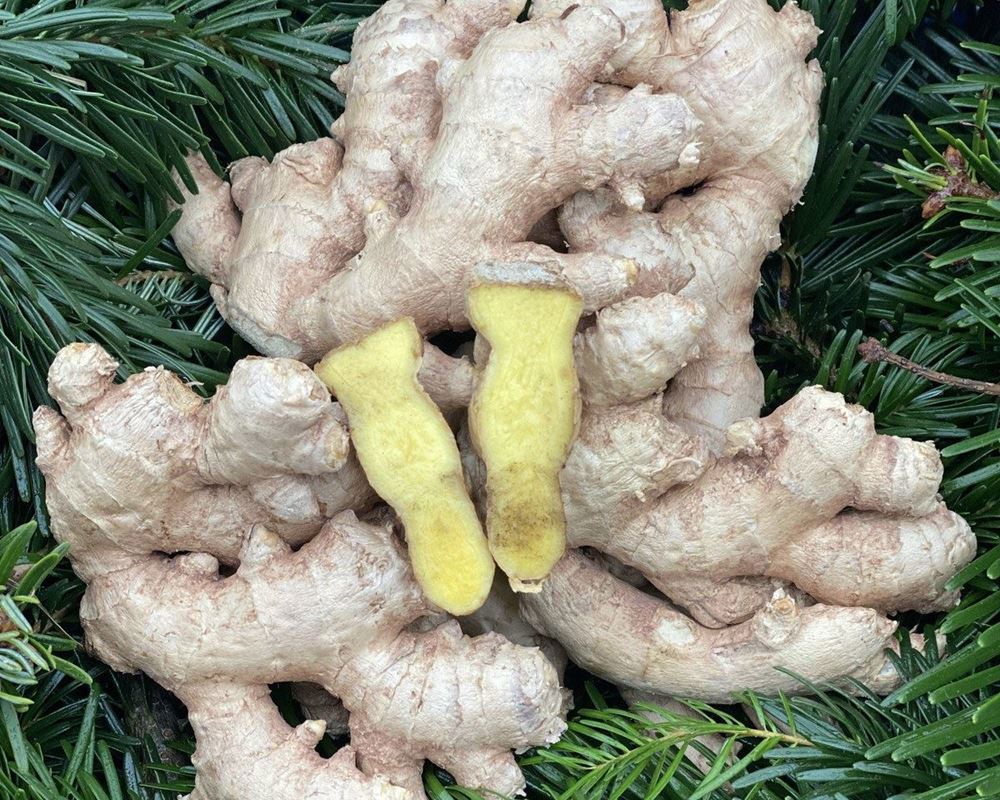 Ginger - approx 100g - Organic