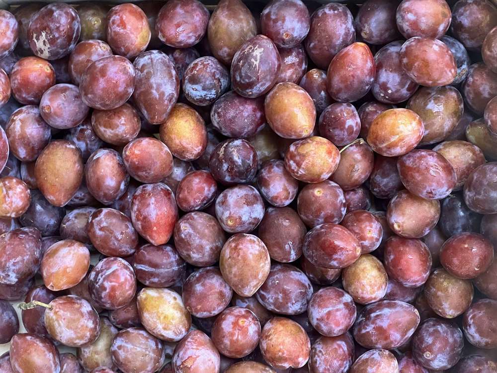 Organic Plums (600g)