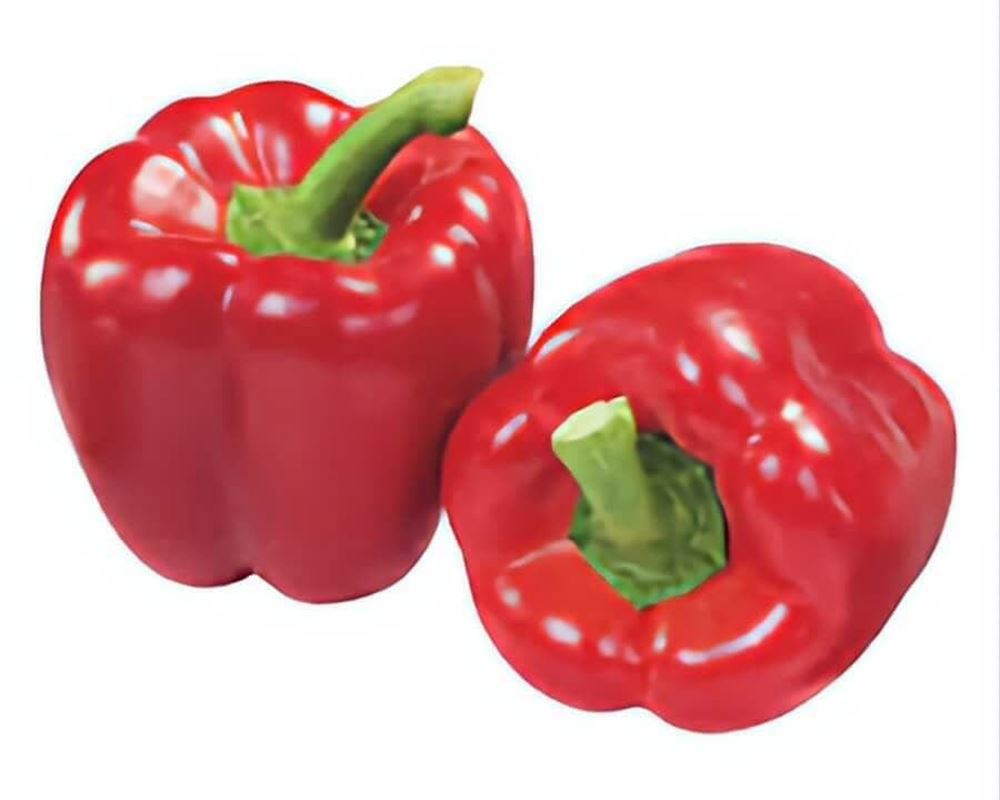 Peppers Red (2)