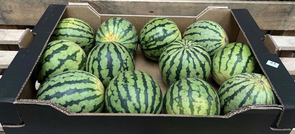 Watermelon