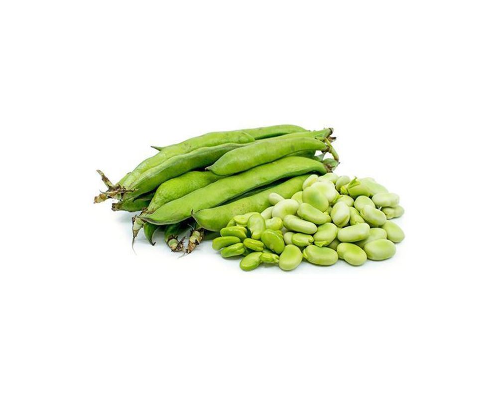 Broad Bean (Organic) (500g)