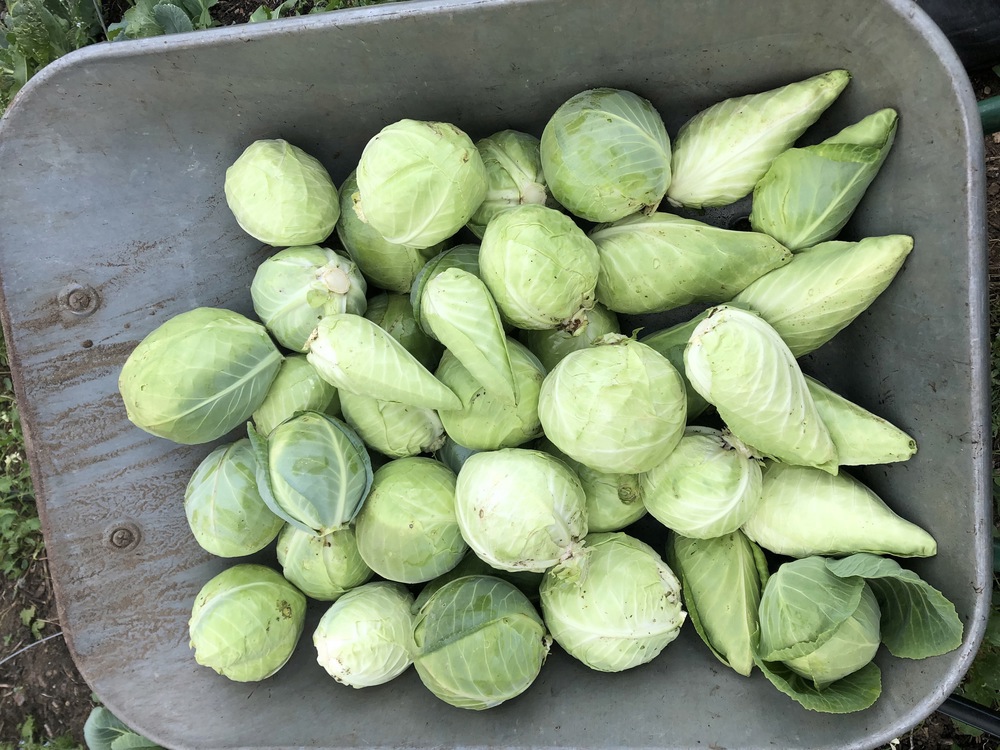 Small Veg Bag