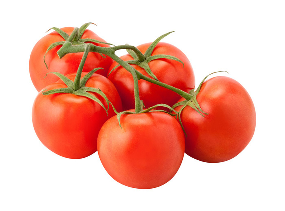 Tomatoes Vine