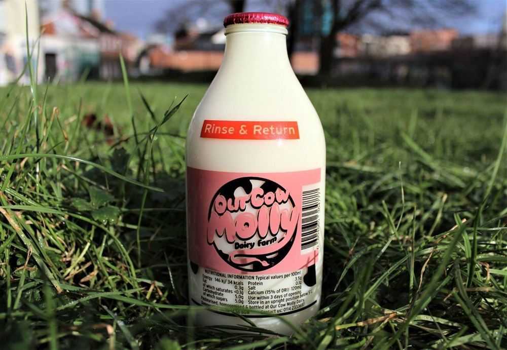 Our Cow Molly Skimmed Milk, Pint