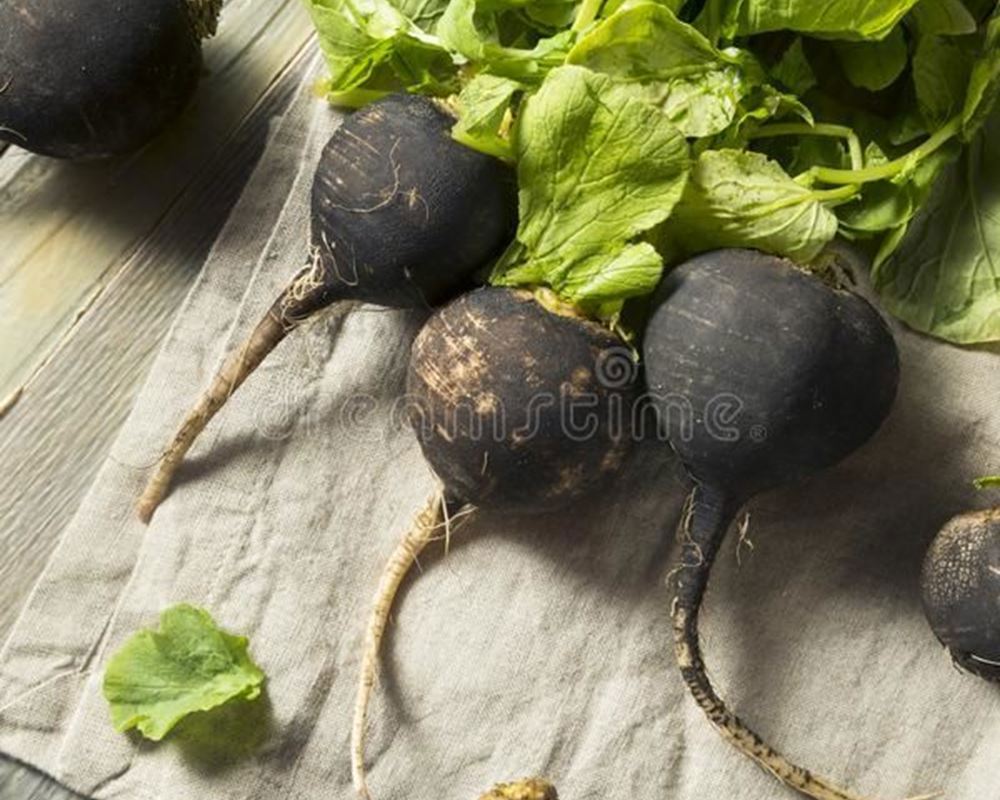 Black Radish punnet