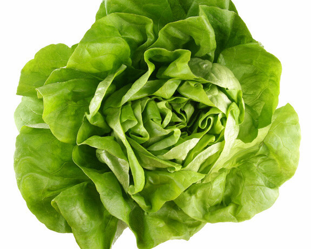 vLettuce