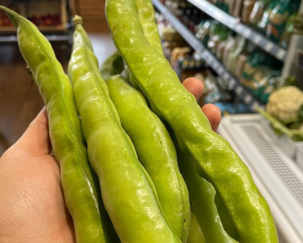 Bean, broad