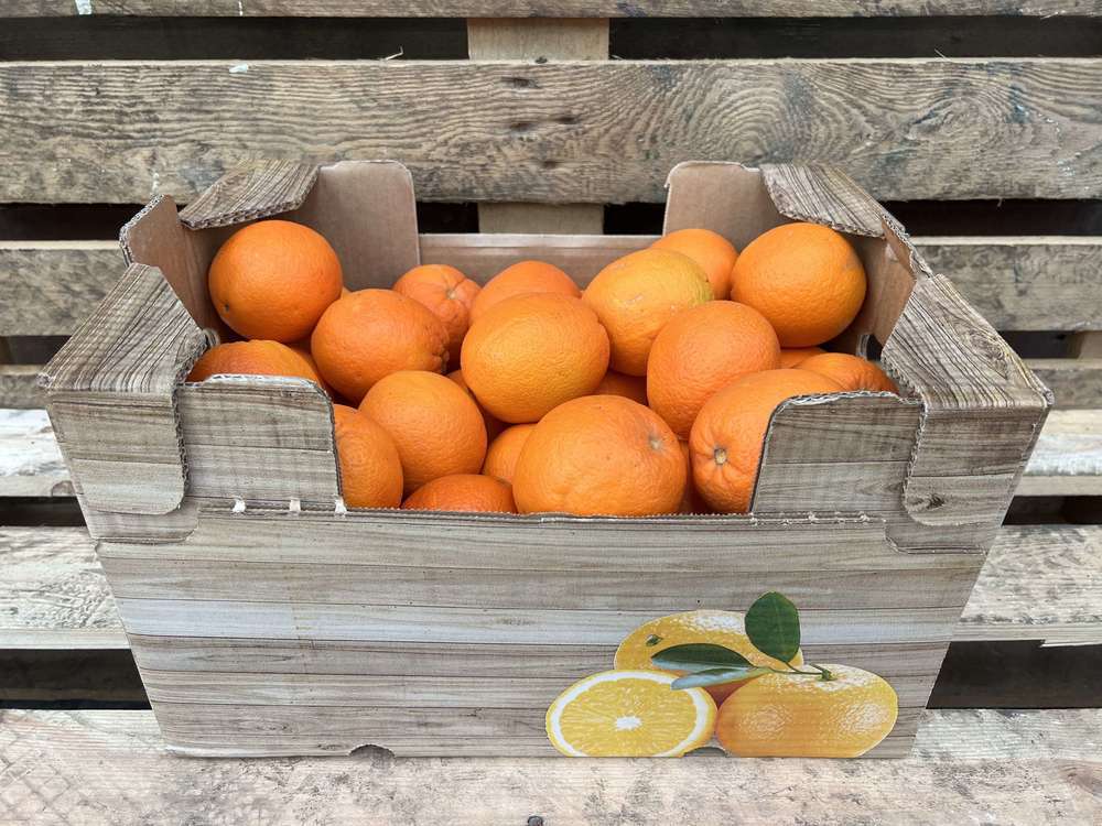 Oranges - Organic Navelina