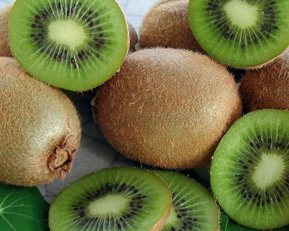 Kiwis - Organic Hayward