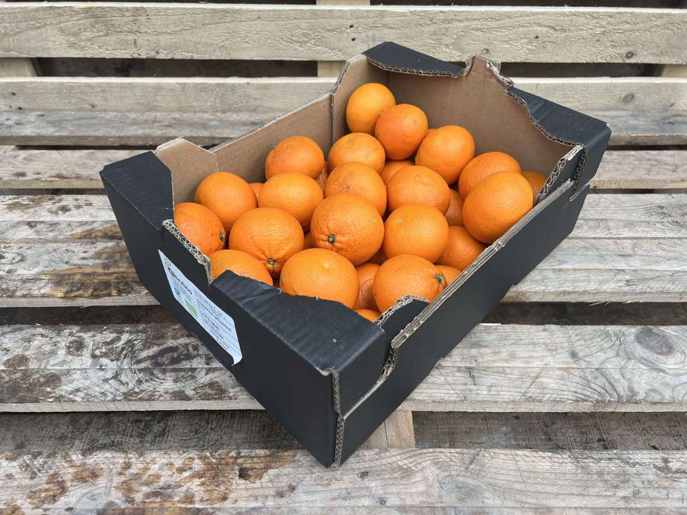 Organic Clementine Ortanique
