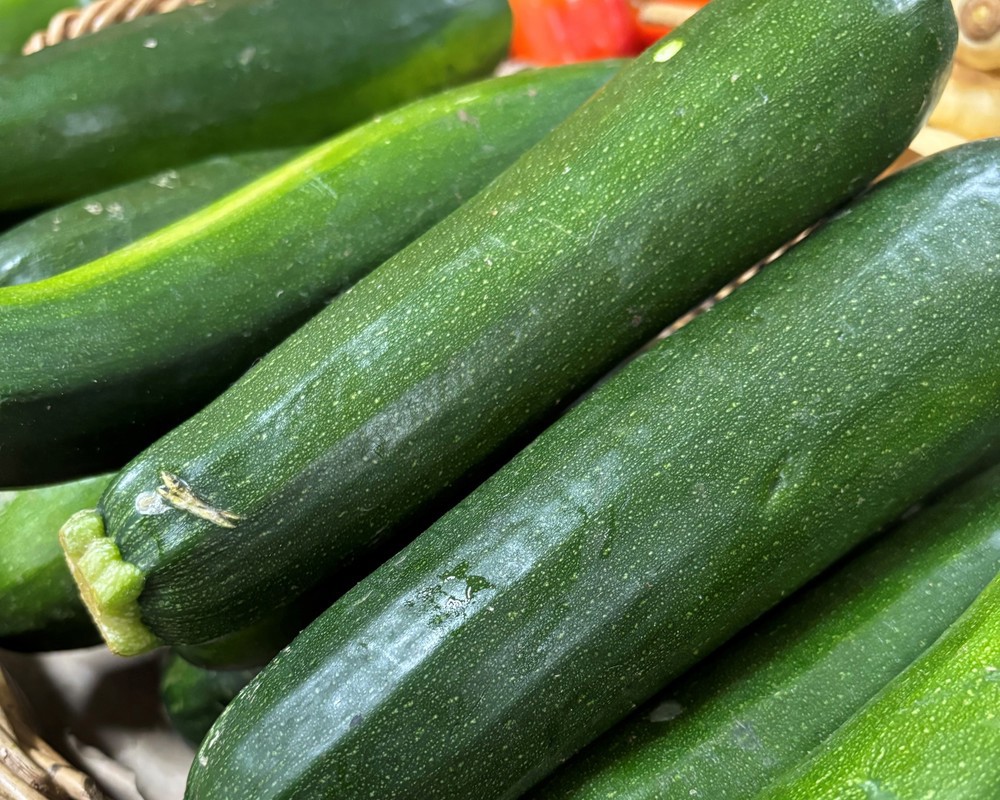 Zucchini