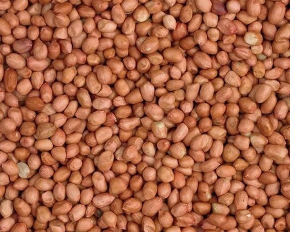 Peanuts - Wild Bird Food 500g