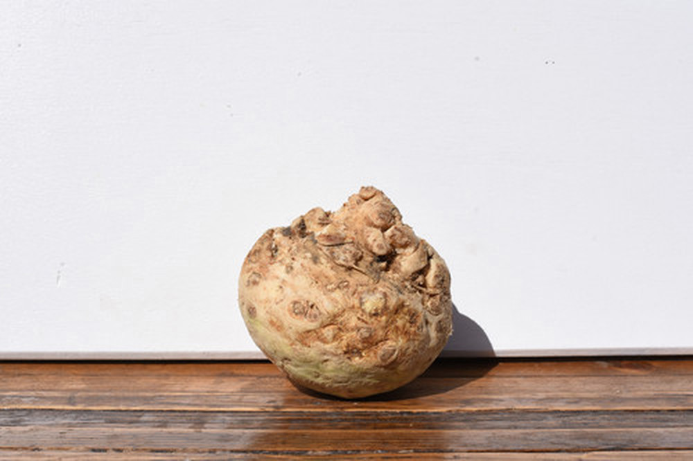 Organic Celeriac