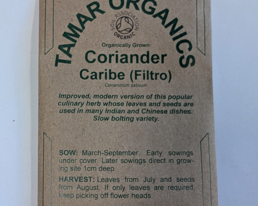 (Seeds) Coriander - Caribe (Filtro)
