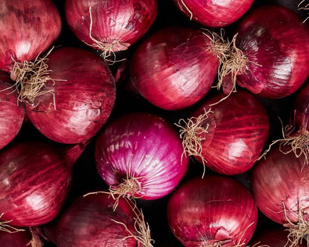 Organic Red Onions