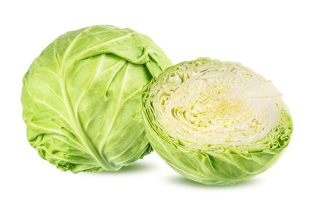 Cabbage - Hard White
