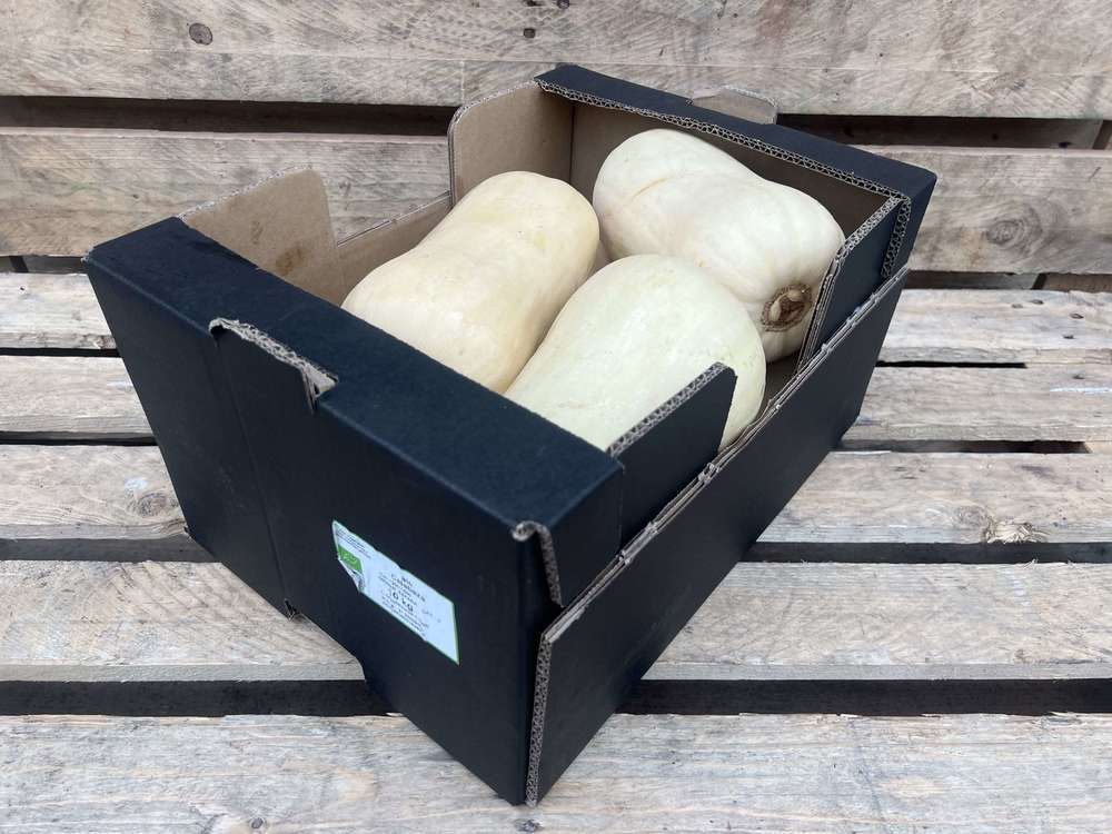 Organic Butternut Squash