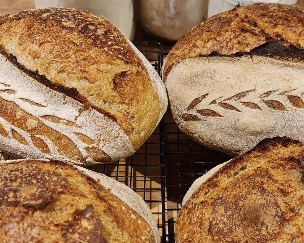 Standard Organic Sourdough Loaf