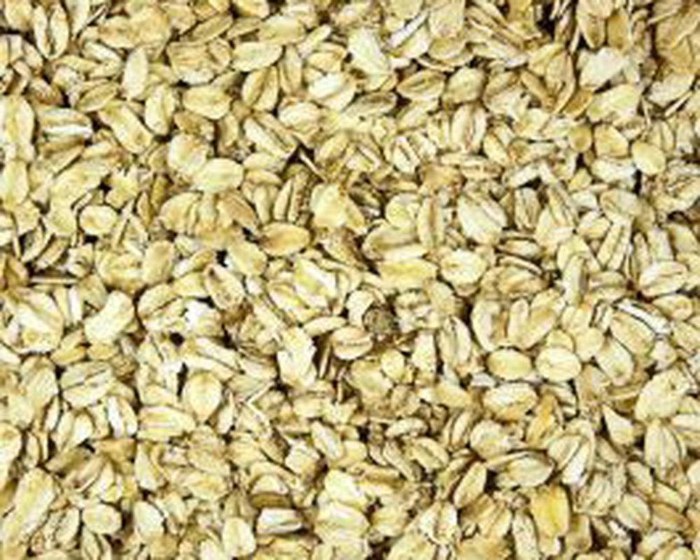 Beaniepack Organic Jumbo Oats