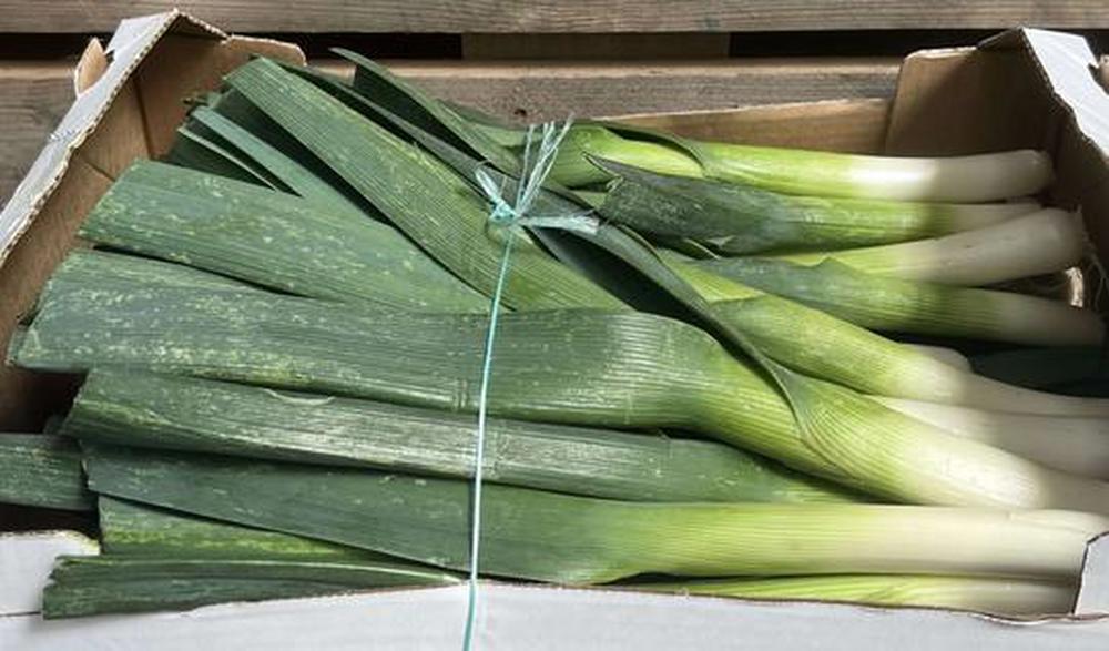 Leeks