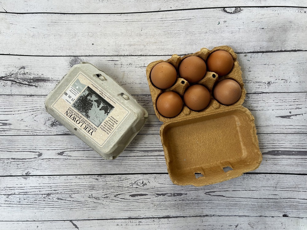 Half Dozen Eggs - Free Range