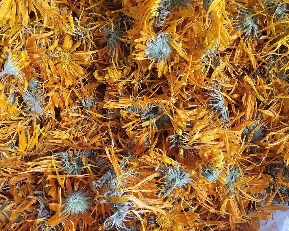 Four Mints Herbal Tea