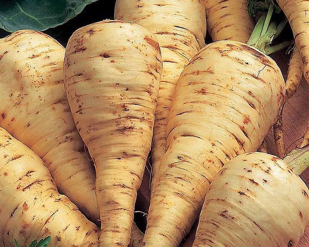 Parsnips