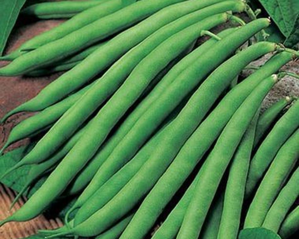 French Beans 200g