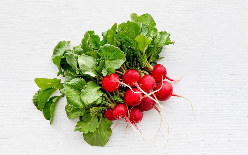 Radish Red Bunch