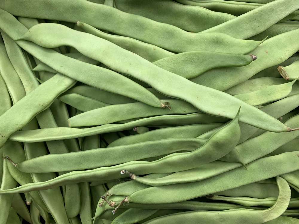 Organic flat beans