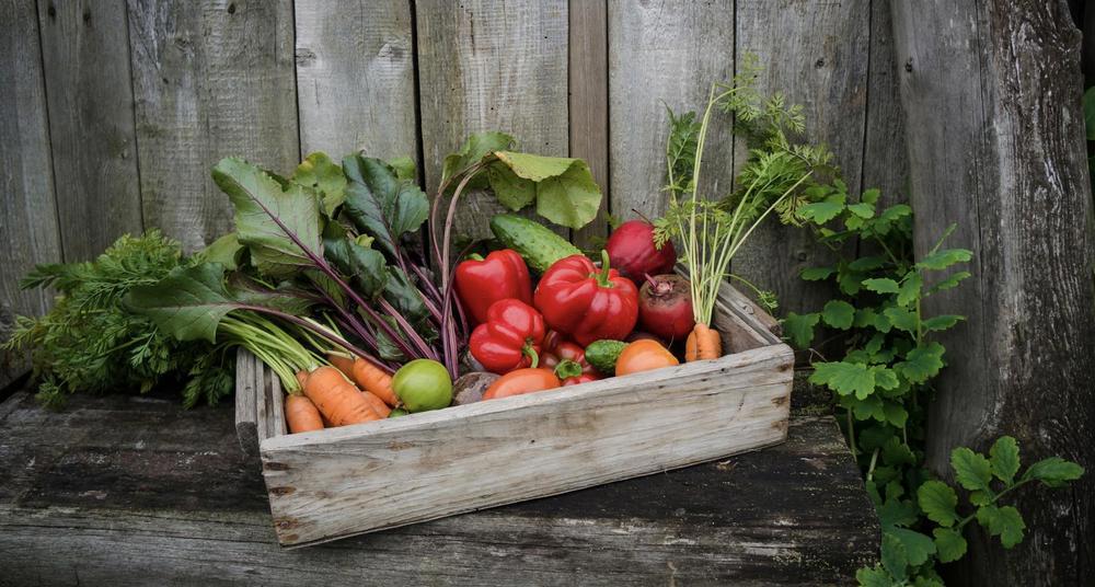 Veg Box - Small